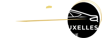 logo centrale taxi bruxelles berline van limousine