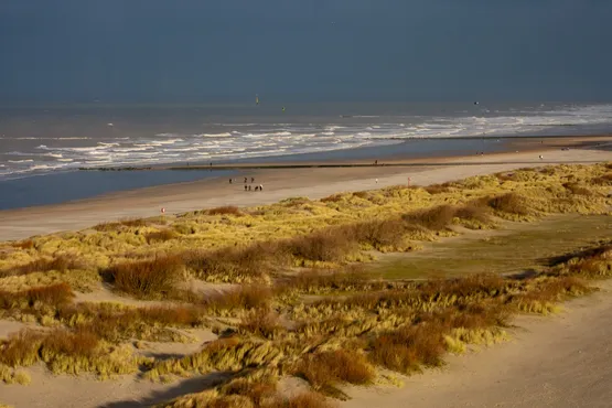 transfert taxi vers les ports et plages de belgique